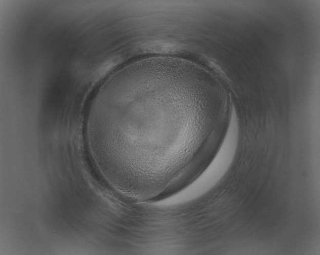 X0000051860679200506241322