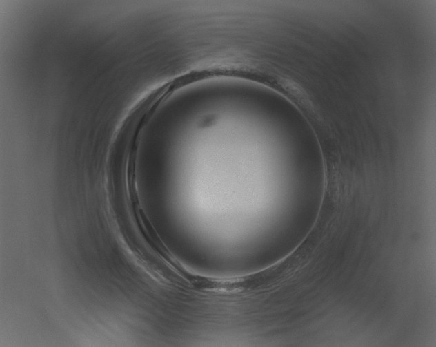 X0000051860680200506241322