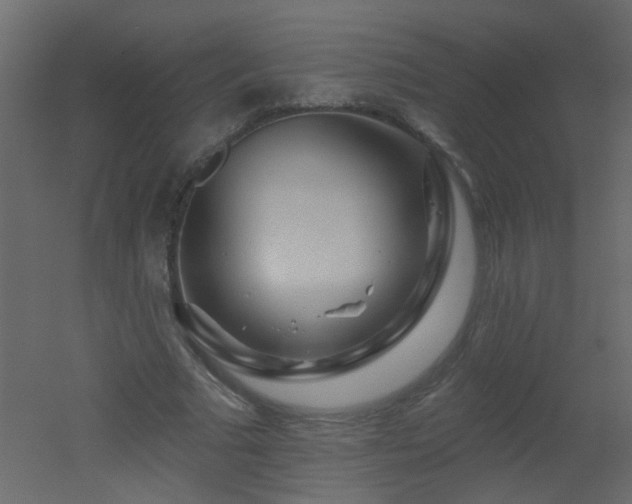 X0000051860681200506241321