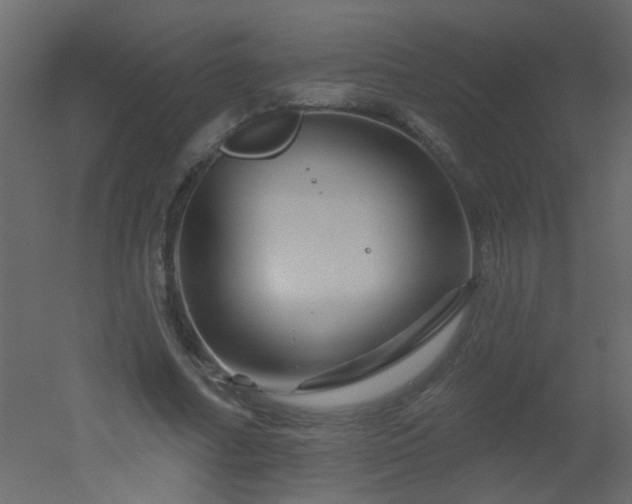 X0000051860682200506241321