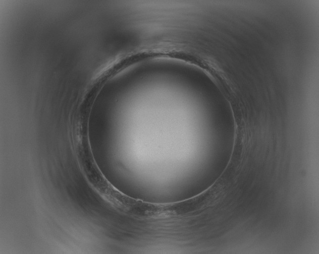 X0000051860683200506241321