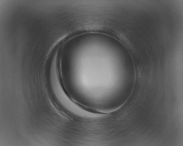 X0000051860684200506241321