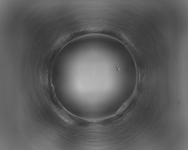 X0000051860685200506241321