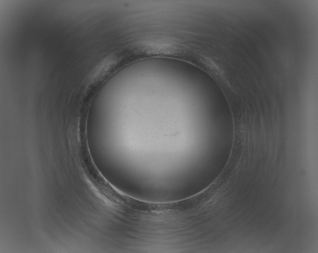 X0000051860686200506241321