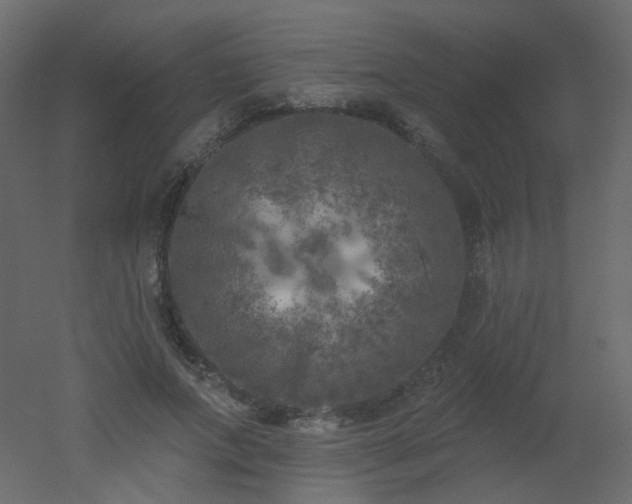 X0000051860687200506241321