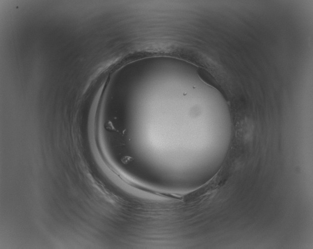 X0000051860688200506241321