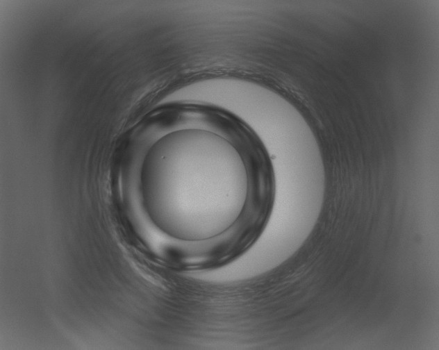 X0000051860690200506241321