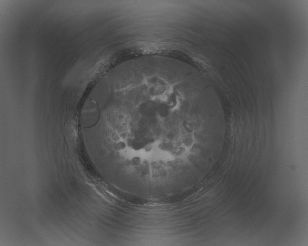 X0000051860691200506241321