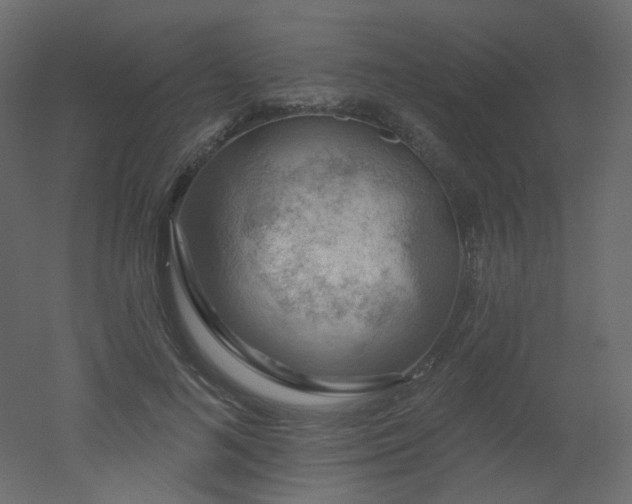 X0000051860692200506241321