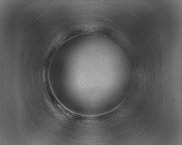 X0000051860694200506241321