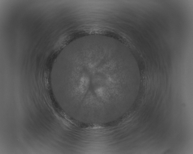 X0000051860695200506241321