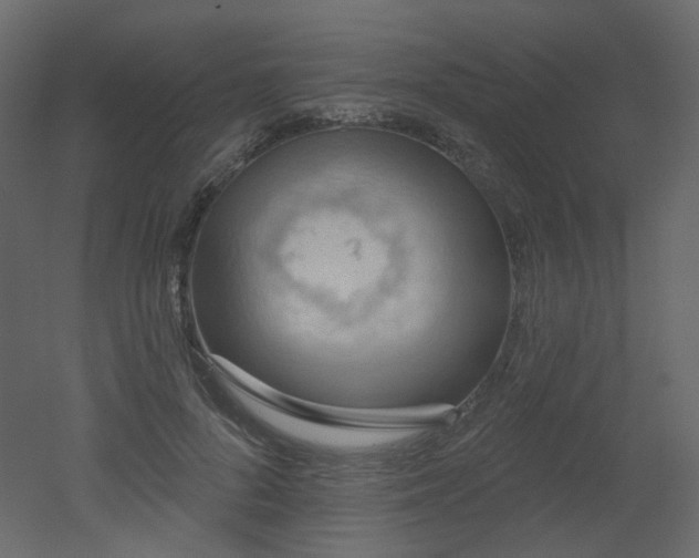 X0000051860696200506241321