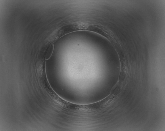 X0000051860697200506241321