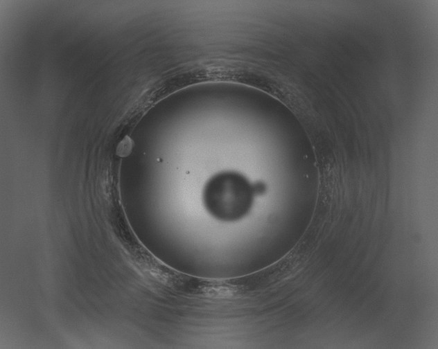 X0000051860698200506241321