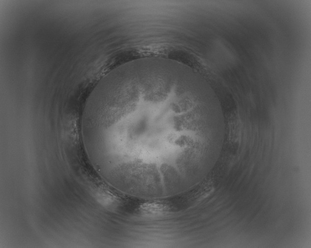 X0000051860699200506241321