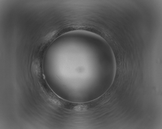 X0000051860700200506241321