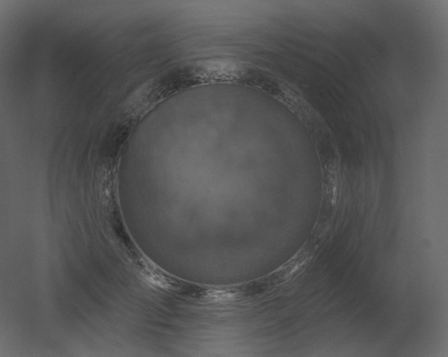 X0000051860701200506241321