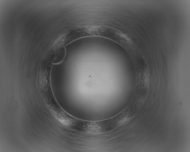 X0000051860702200506241321