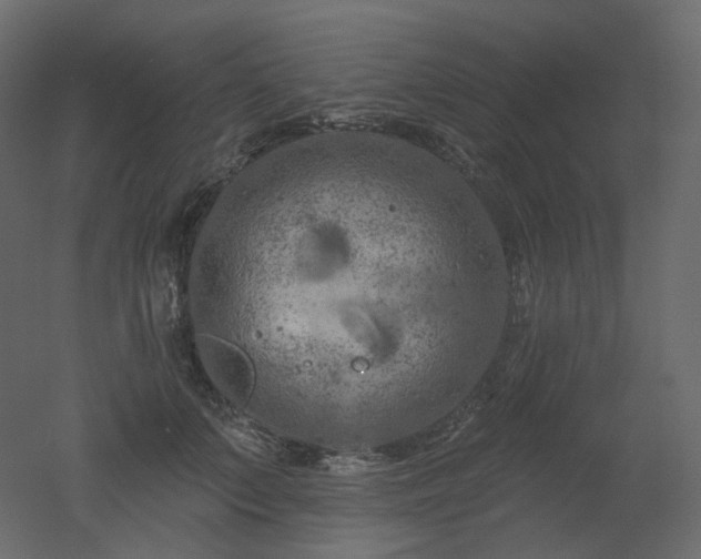 X0000051860703200506241321