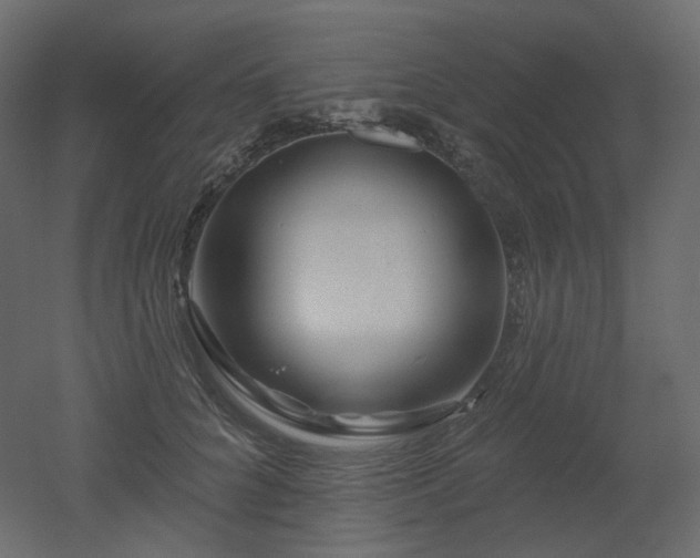 X0000051860704200506241321