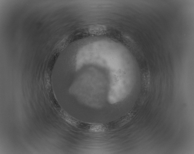 X0000051860705200506241321