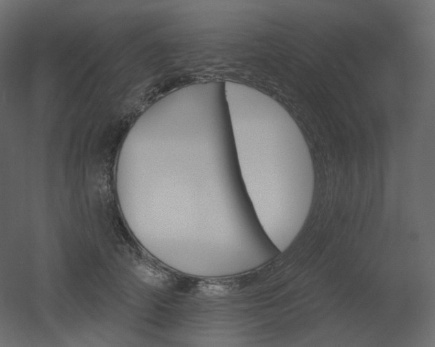 X0000051860706200506241321