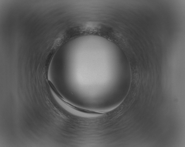 X0000051860708200506241321