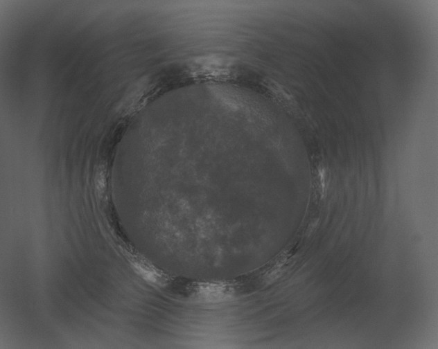 X0000051860709200506241321