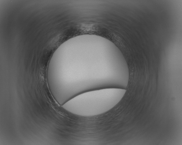 X0000051860710200506241321