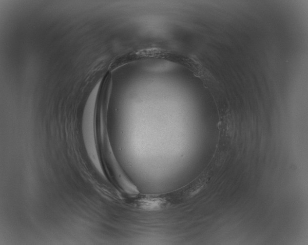 X0000051860711200506241321