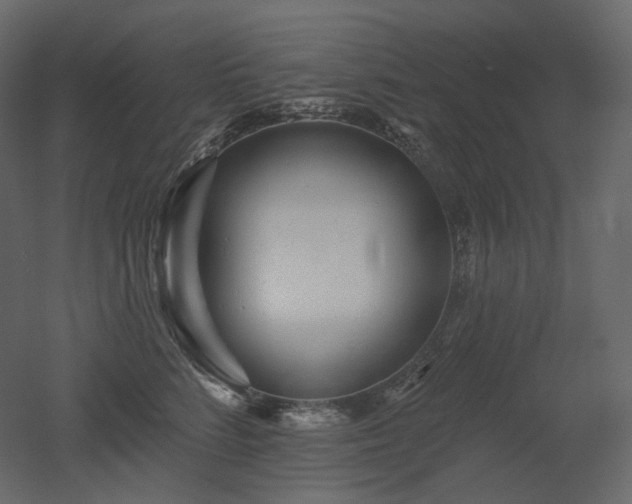 X0000051860712200506241321