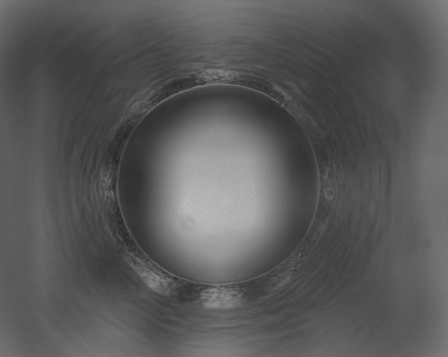 X0000051860714200506241321