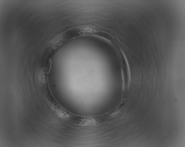 X0000051860715200506241321