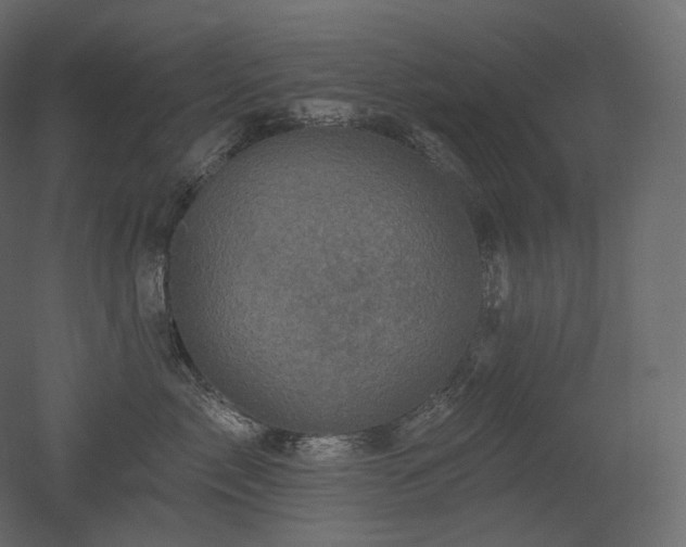 X0000051860717200506241321