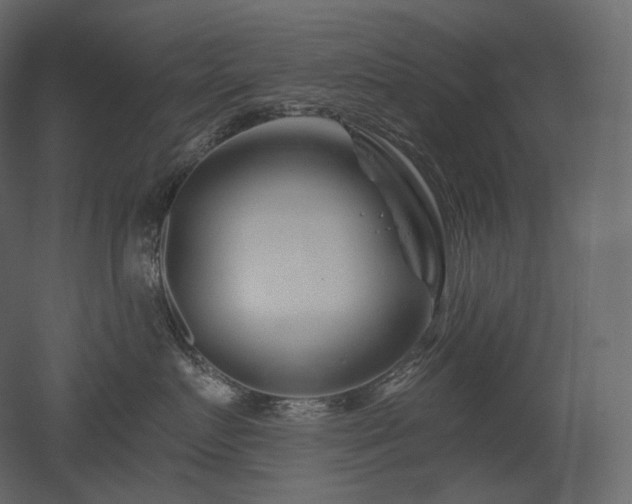 X0000051860719200506241321