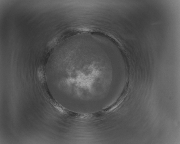 X0000051860720200506241321