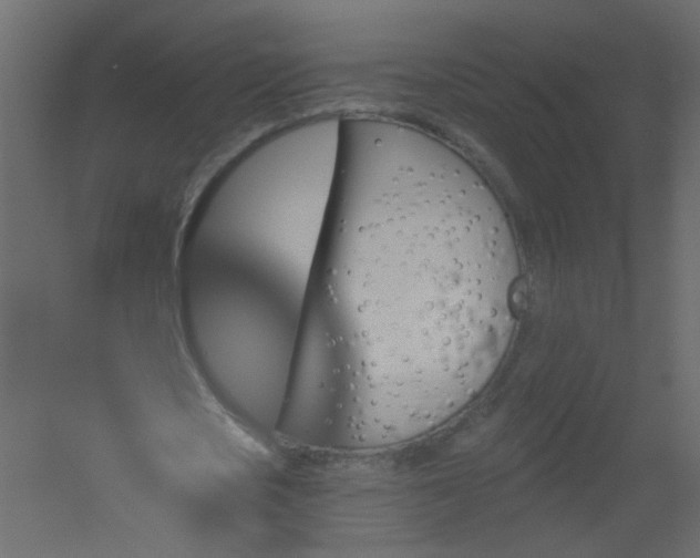 X0000051860721200506241320