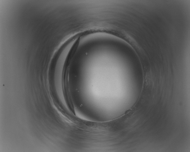 X0000051860722200506241320