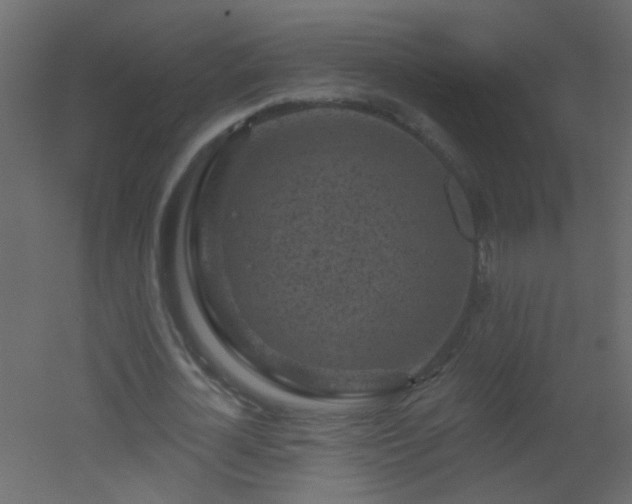 X0000051860724200506241320