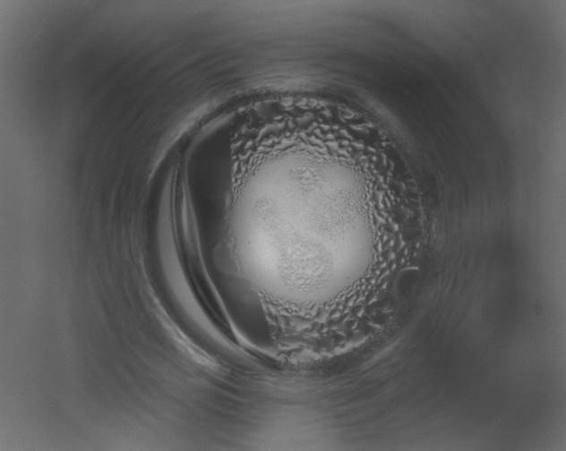 X0000051860725200506241320