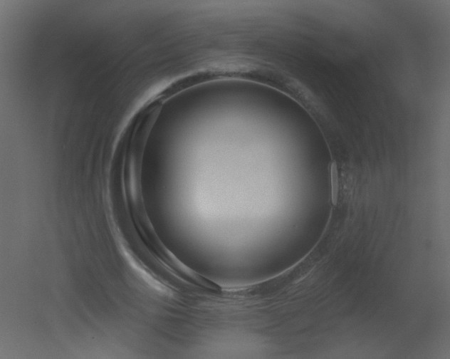 X0000051860726200506241320