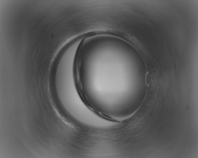 X0000051860728200506241320