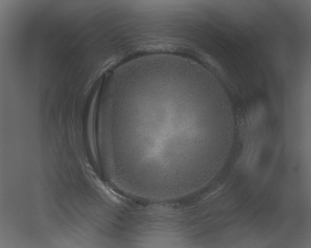 X0000051860729200506241320