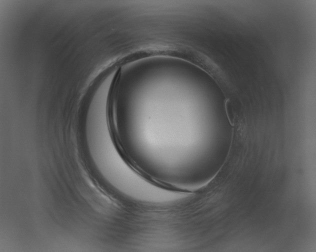 X0000051860732200506241320