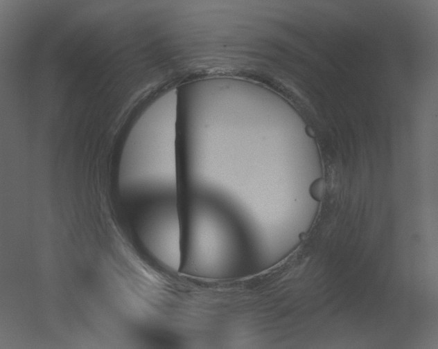 X0000051860733200506241320