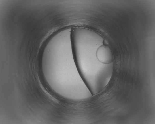 X0000051860734200506241320