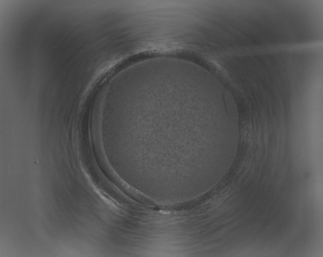 X0000051860736200506241320