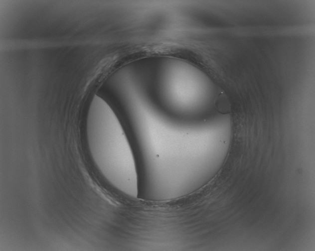 X0000051860738200506241320