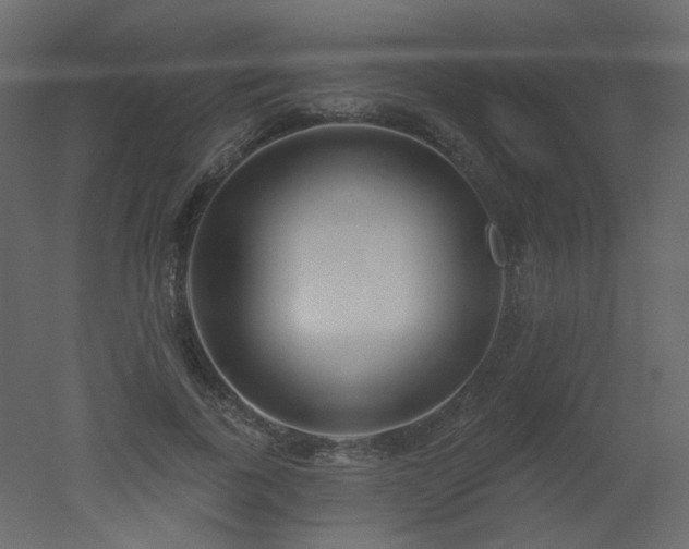 X0000051860739200506241320