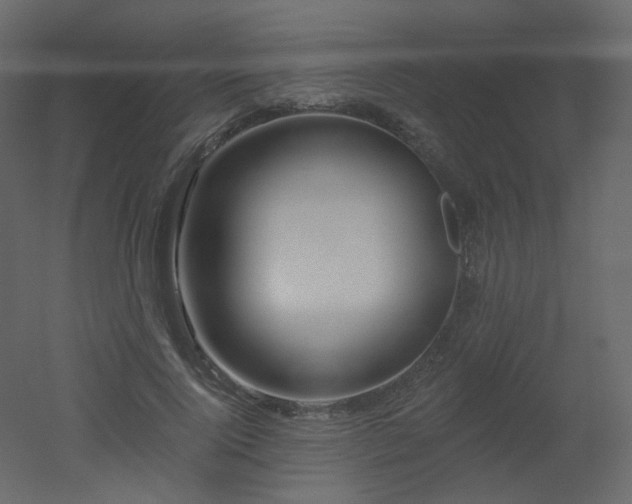 X0000051860740200506241320